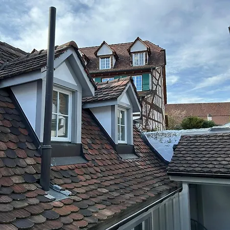 Rheinstream Guest house *